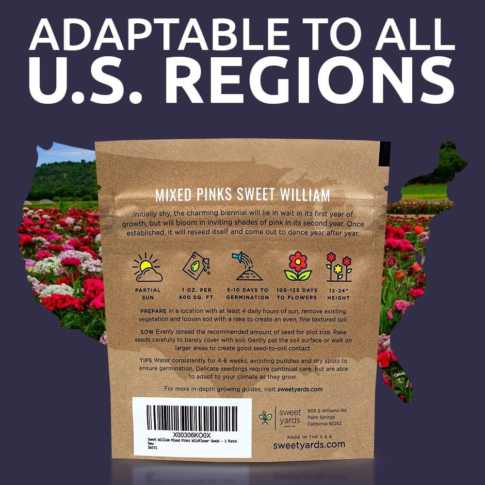 30000 Semillas de Flores Dianthus Barbatus Rosas Mix No GMO Paquete de 1 oz