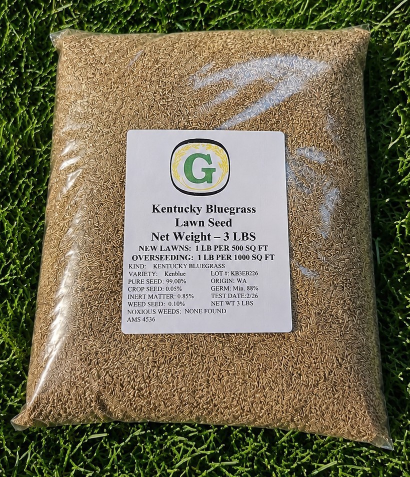 Kentucky Bluegrass Grass Seed – 9 lbs – Direct from Grower – No fillers