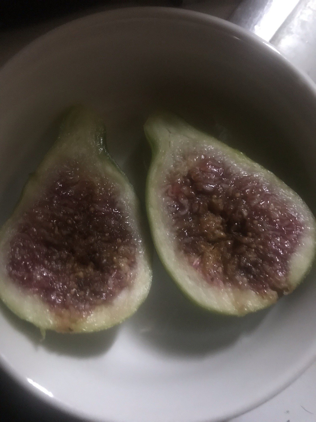 6 cuttings Fig tree stems unrooted delicious sweet fruit organic propagation.