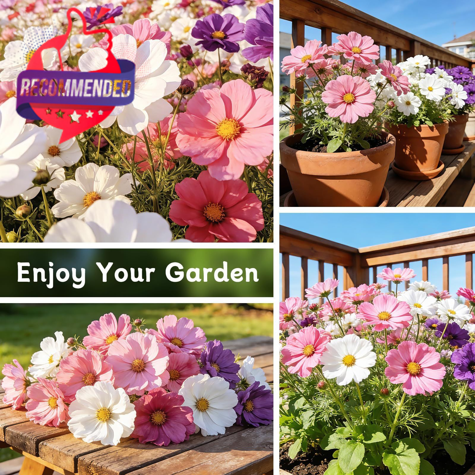 Cosmos Seeds 4500+ Flower Seed Mix for 2026 Premium Variety Garden Planting Pack