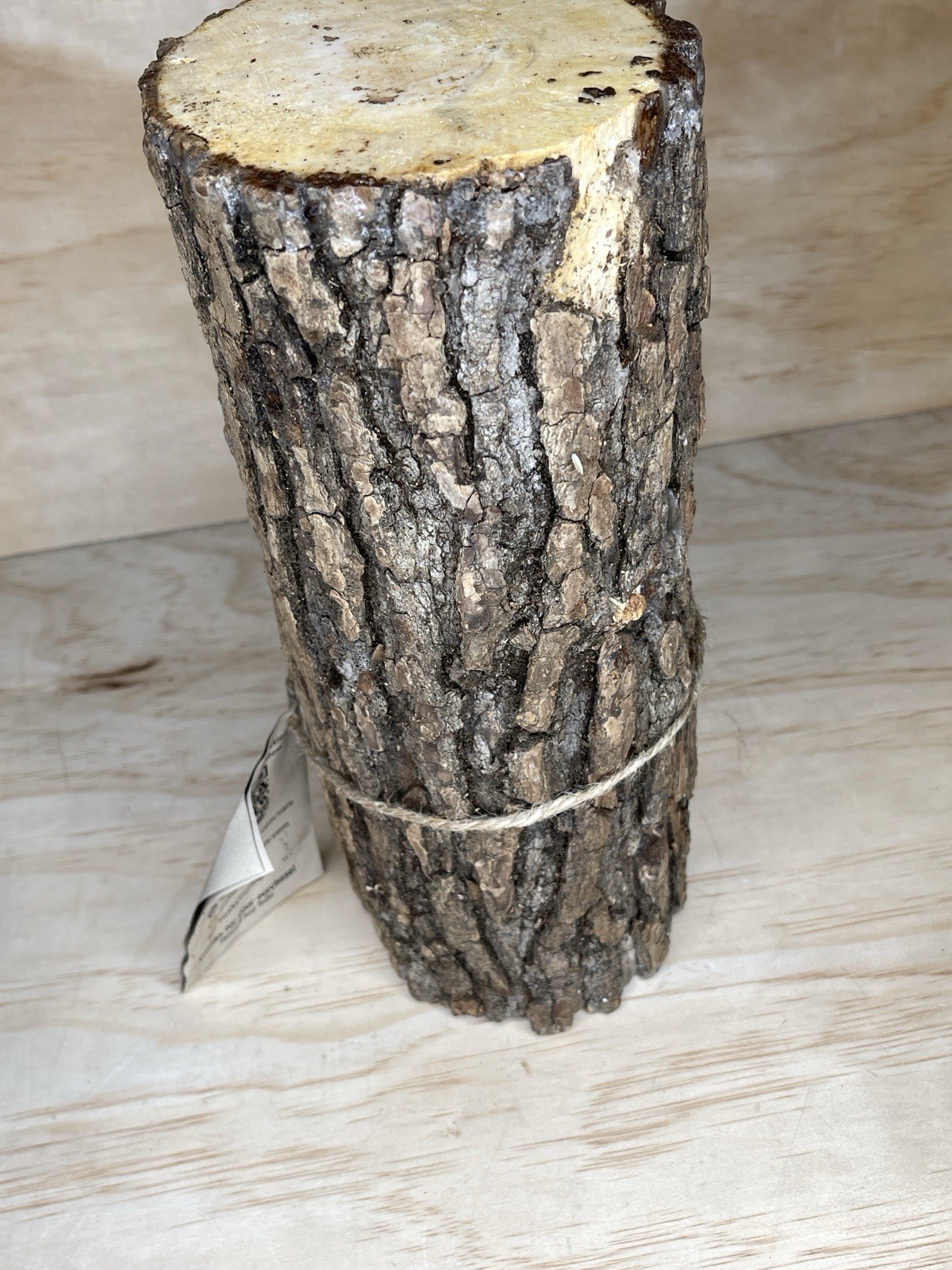 2FUNGUYS 12” MUSHROOM LOG shiitake Brand new never used