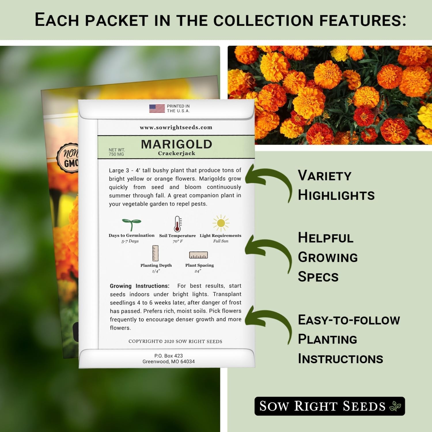 Sow Right Seeds – Insect & Pest Repellent Seed Collection for Planting – Mix