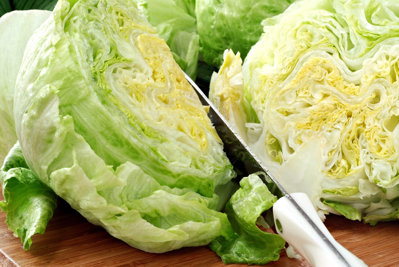 1000 GREAT LAKES LETTUCE Batavian ICEBERG Lactuca Sativa Vegetable Seeds *CombSH