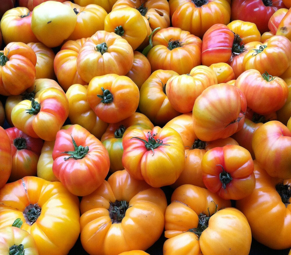 COLLARDS -2500 Vates NON-GMO Heirloom Seeds. Prepare for your FALL CROP !
