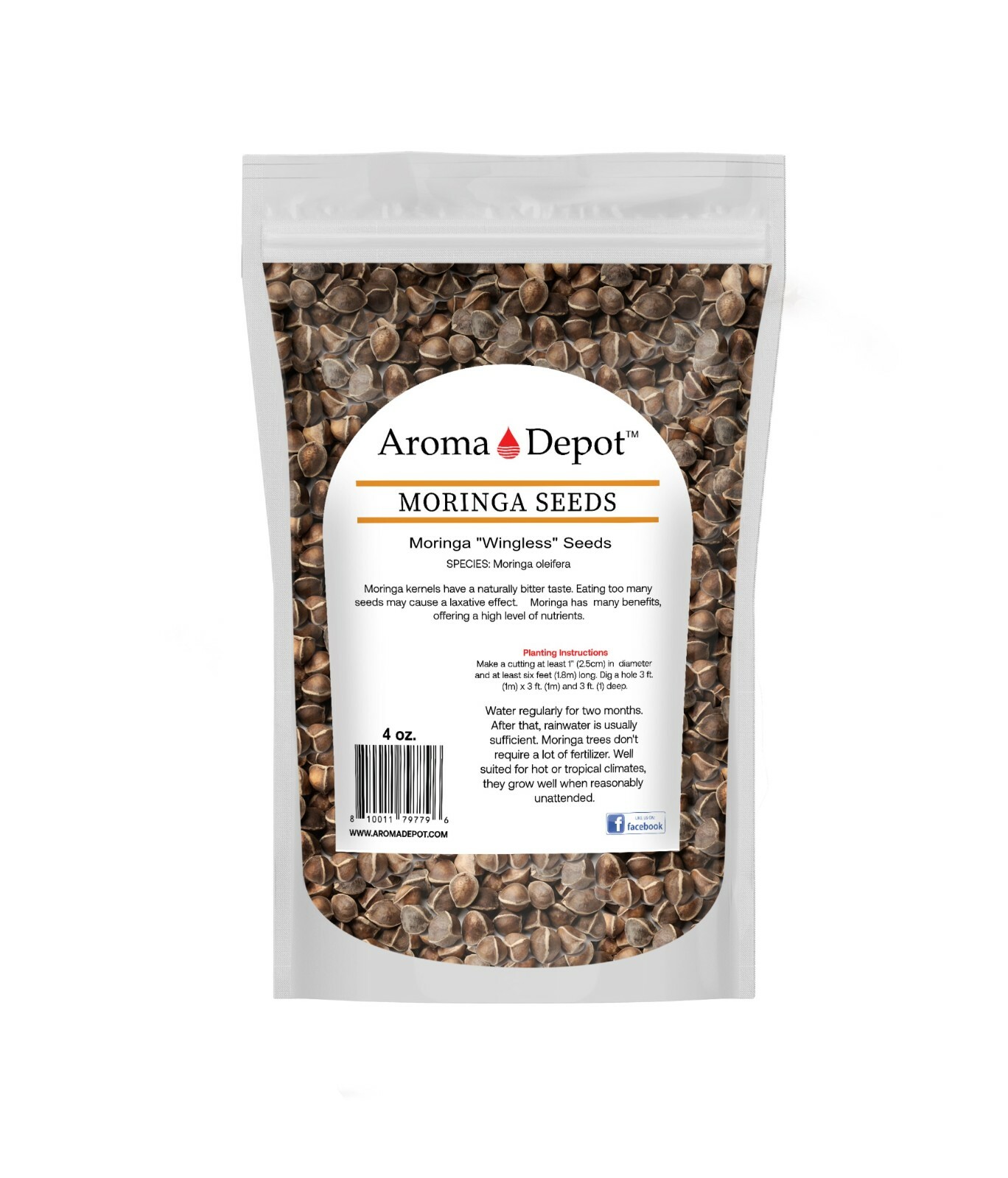 4 oz. Moringa Seeds 400 Fresh Semilla de Moringa oleifera 5 Pouches Malunggay