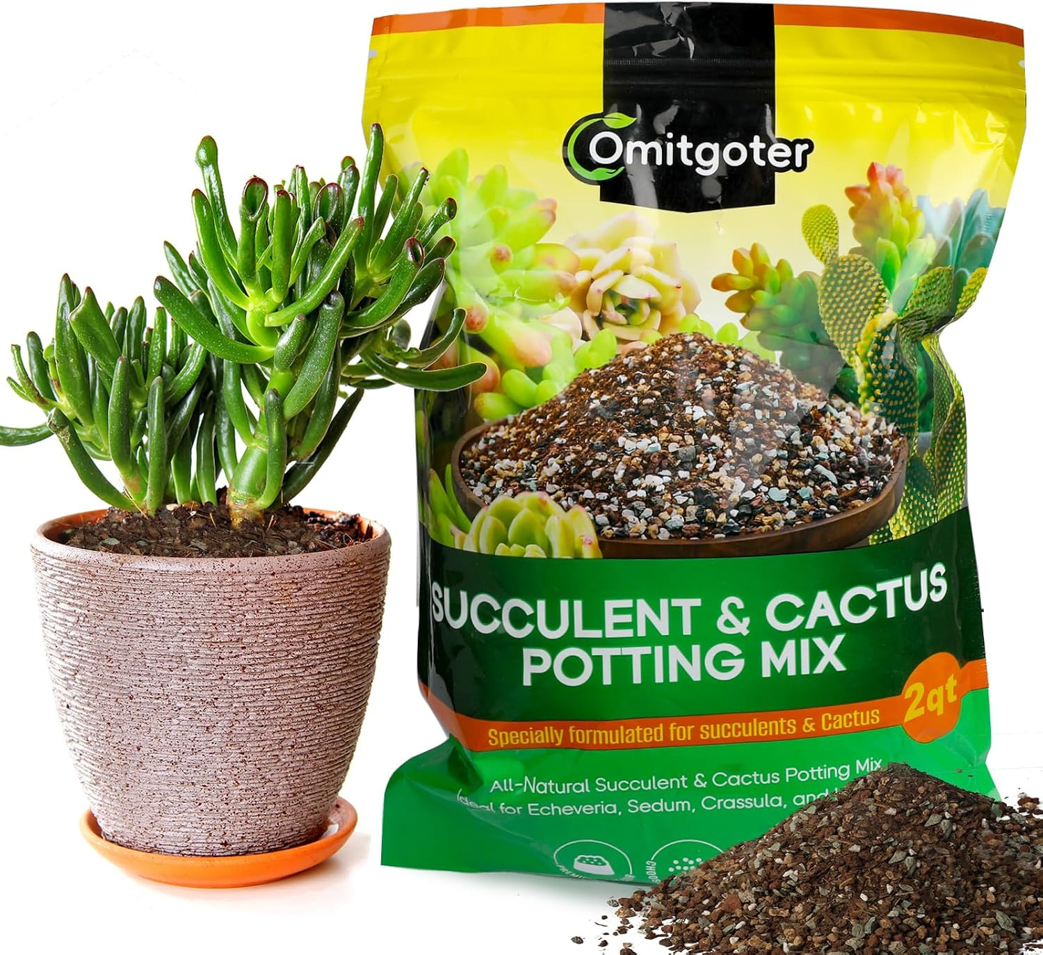 Succulent & Cactus Soil Potting Mix 2qt, Natural Organic Potting Mix for Cactus,