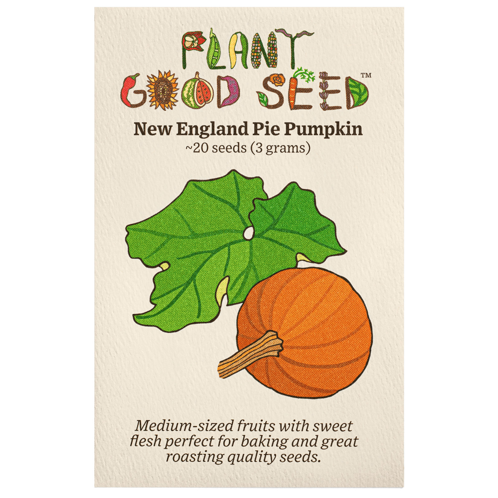 New England Pie Pumpkin Seeds for Planting Organic Non-GMO Seed Packet Bulk Size