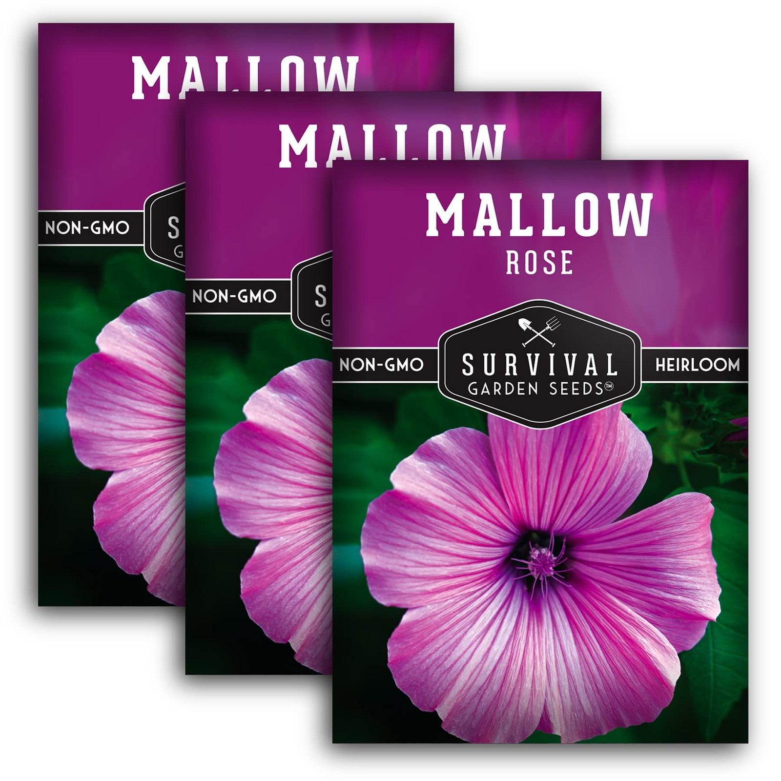 Rose Mallow Seeds – Annual Lavatera Trimestris for Easy Cottage Garden Blooms