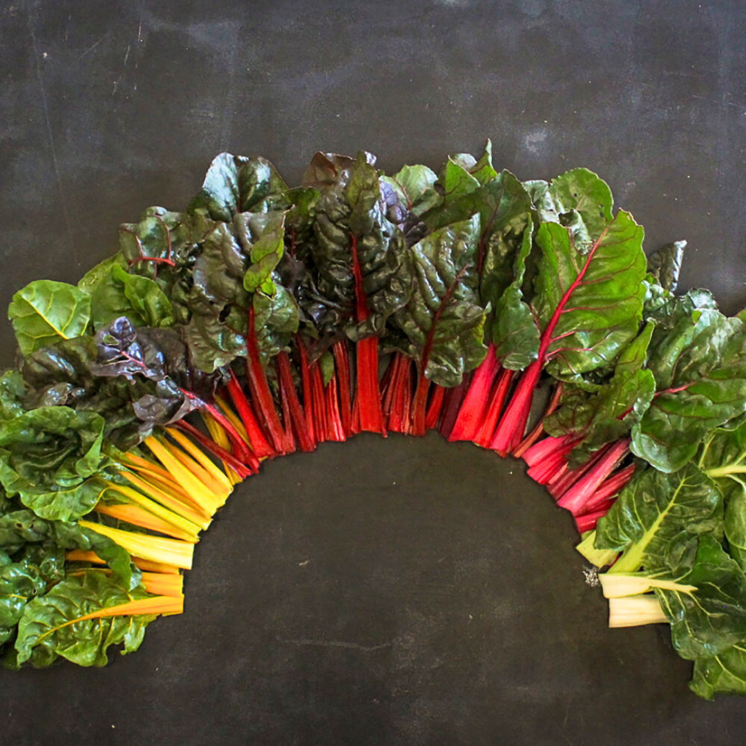 Fresh Premium Rainbow Swiss Chard Seeds | Heirloom Non-GMO | Vegetable Seeds