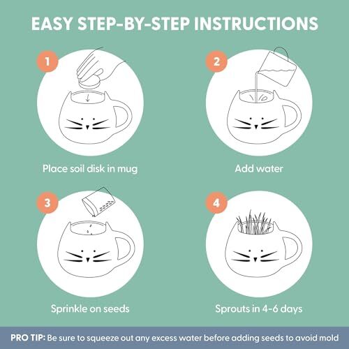 Organic Cat Grass for Indoor Cats – Growing Kit with Organic Seed Mix Soil an…