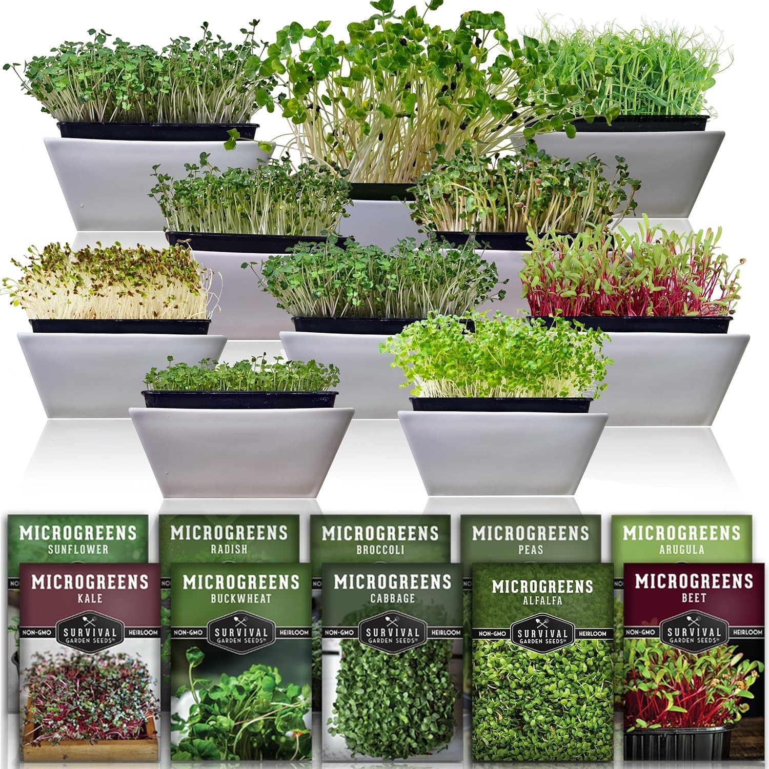 Microgreen Seeds Variety Pack 10 Heirloom Types Non-GMO for Indoor Gardening