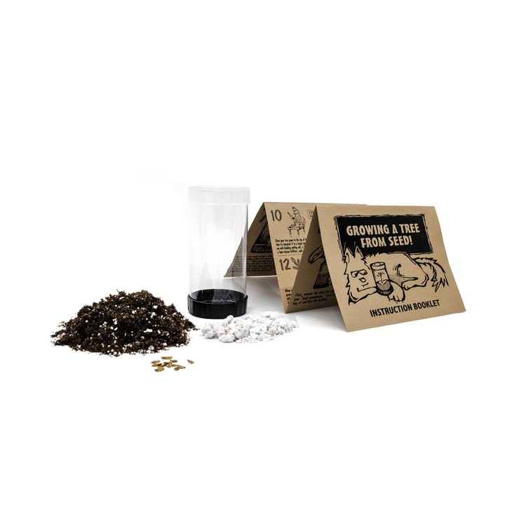 Quaking Aspen – Seed Grow Kit by Jonsteen Company