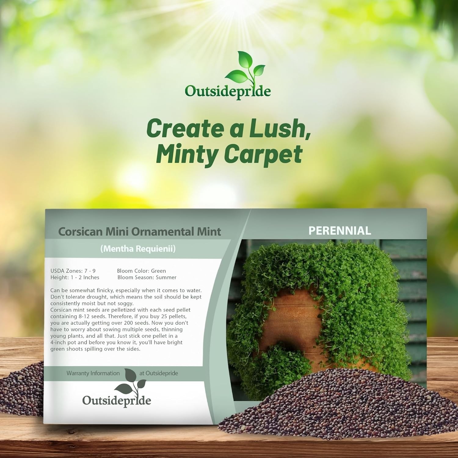 25 Pellets Corsican Mint Seeds For Planting | Ground Cover Plant Seed