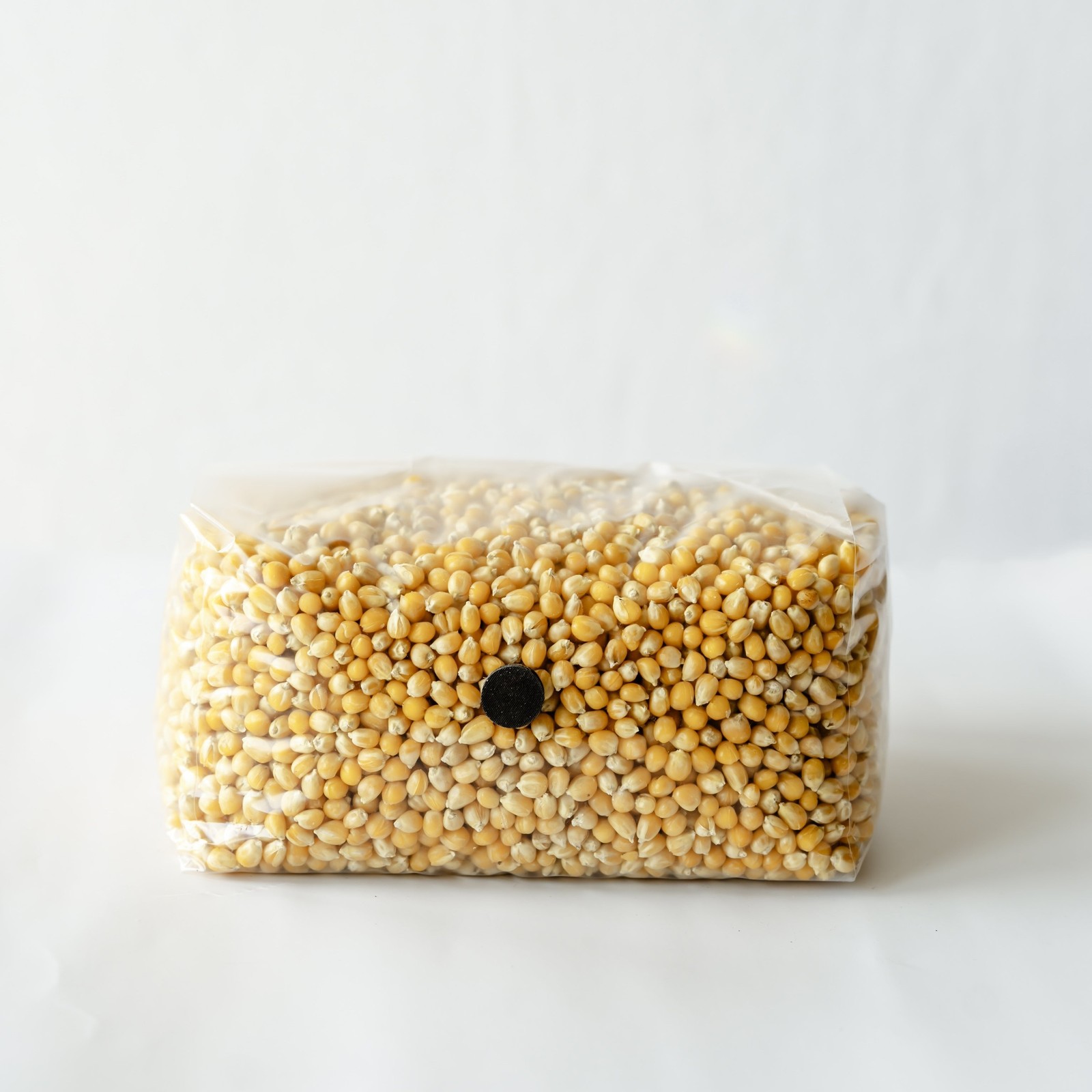 6 Pack | 5lb Drippy Corn Grain Spawn