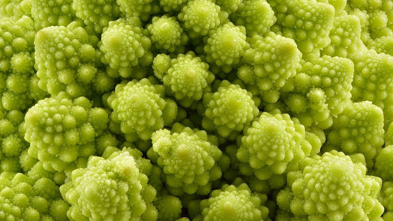 500 Romanesco Broccoli Seeds Non-GMO Heirloom | USA Seller Free Shipping