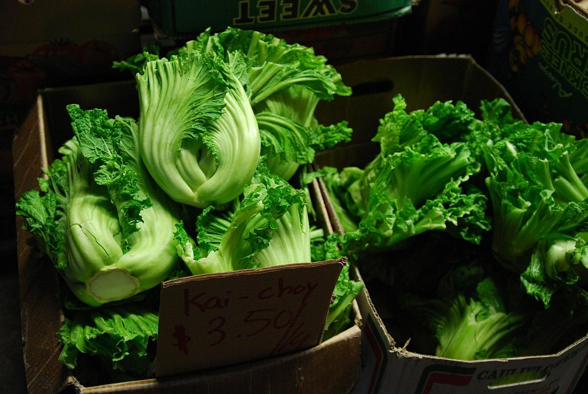 500 Seeds of Oriental Mustard (Chinese Mustard, Gai Choy), Brassica Juncea