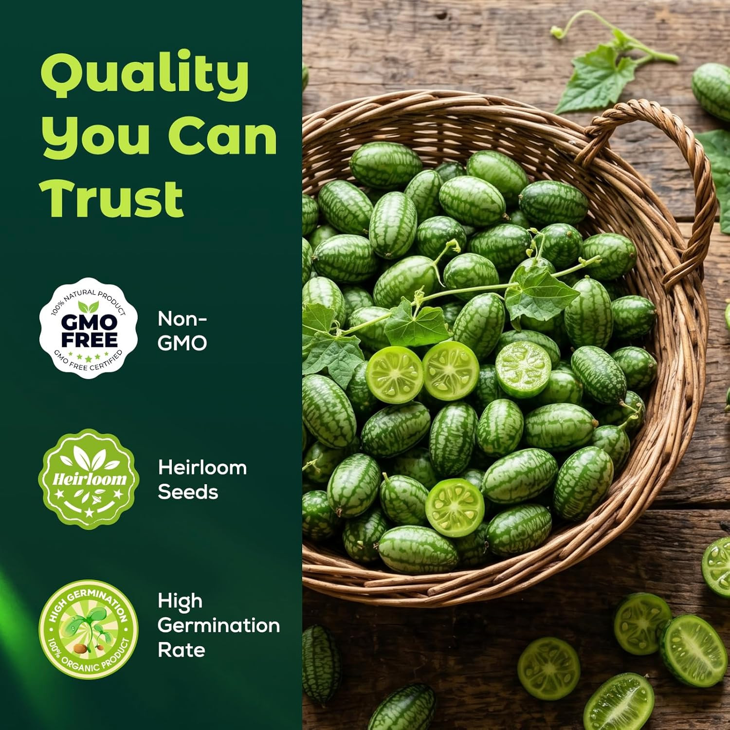 100 Heirloom Cucamelon Seeds for Planting – Mexican Sour Gherkin, Mouse Melon, F