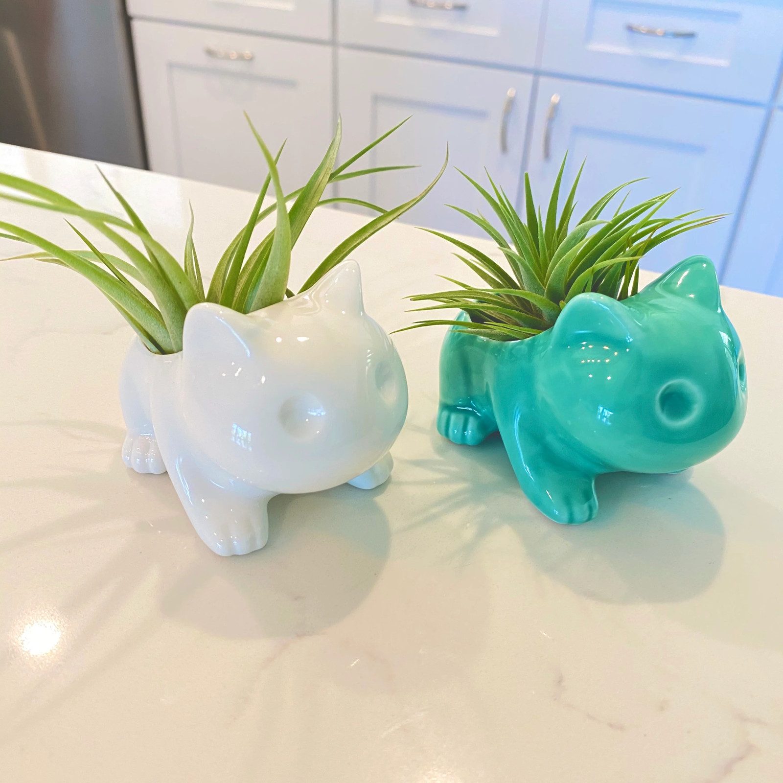 Bulbasaur Planter br (Includes Drainage Hole For Non Air Plants)