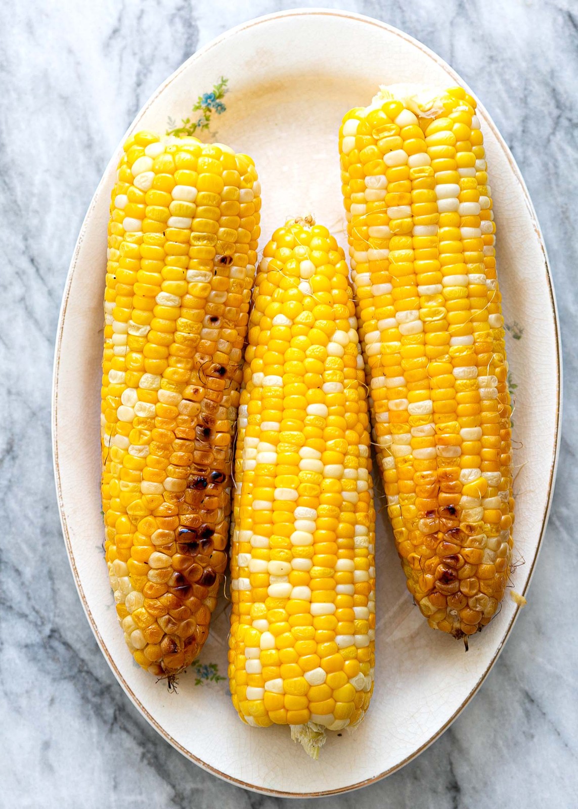 Ambrosia F1 Sweet Corn Seeds | Bicolor SE Untreated Hybrid NonGMO USA Seed 2024