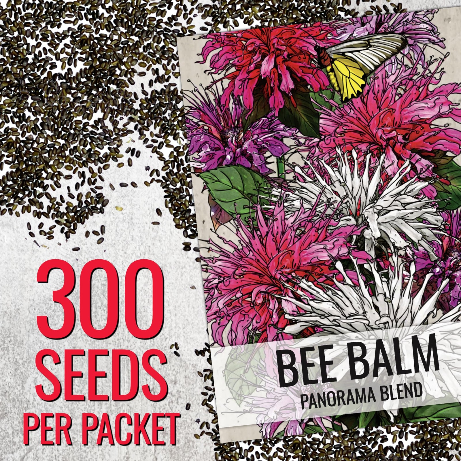 Bee Balm Seeds to Plant Panorama Mix Perennial Flowers 1 Pack