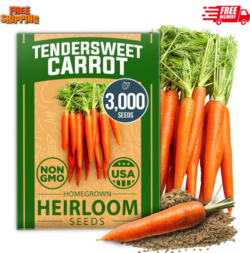 Tendersweet 3000+ Carrot Seeds | NON-GMO Carrot Seeds | Fresh Heirloom Seeds