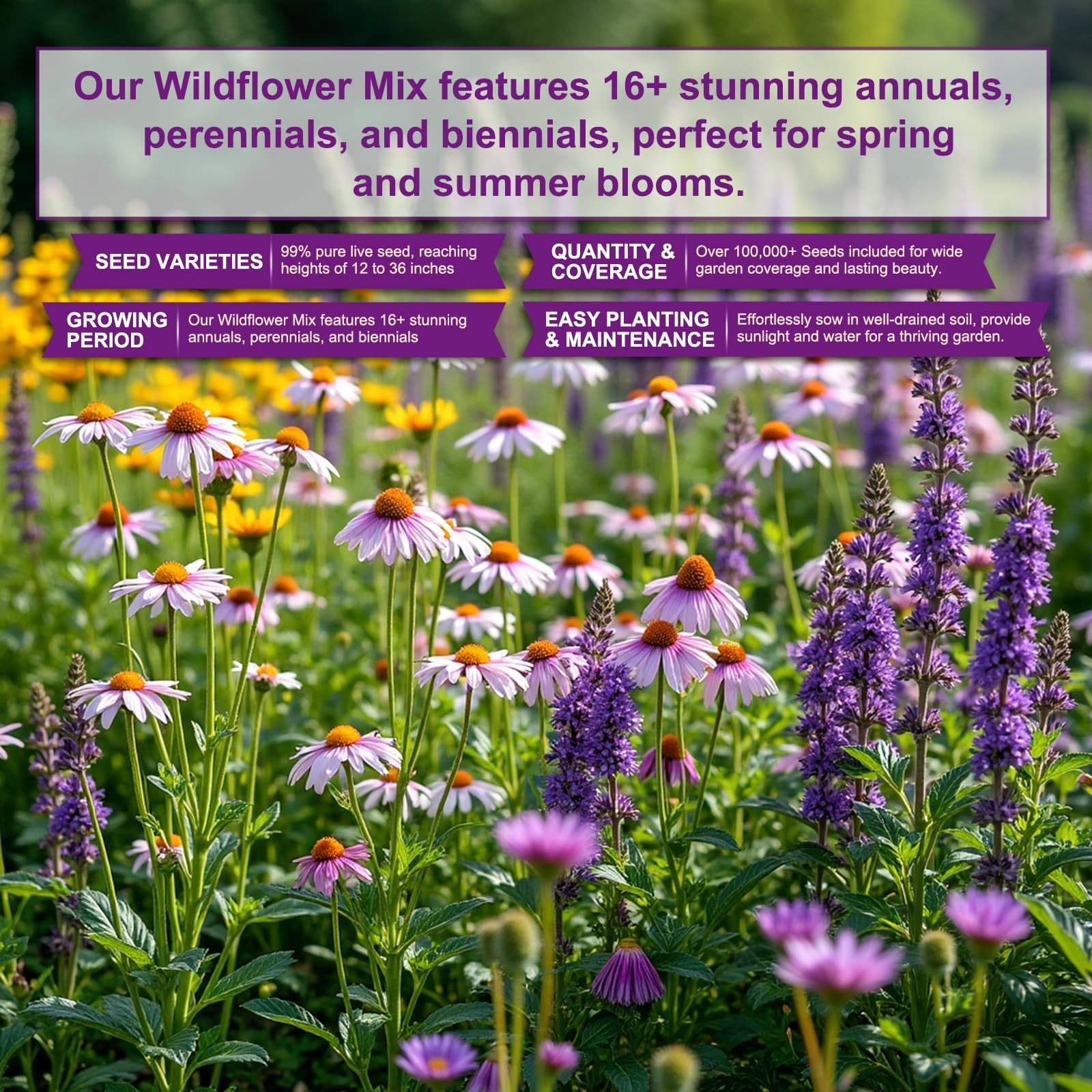 200,000+ Wildflower Seeds [4oz] 16 Variety 16 Perennial Mix, green