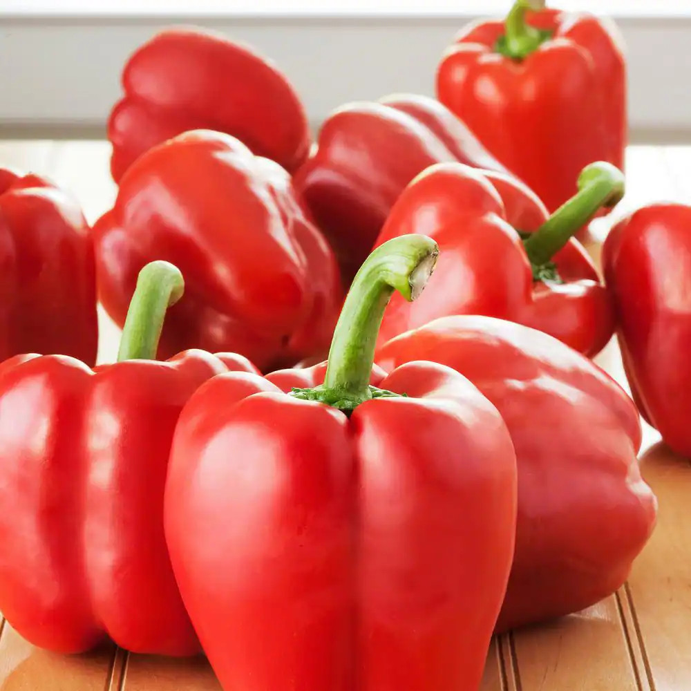 19 Oz. Sweet Red Bell Pepper Plant (2-Pack)