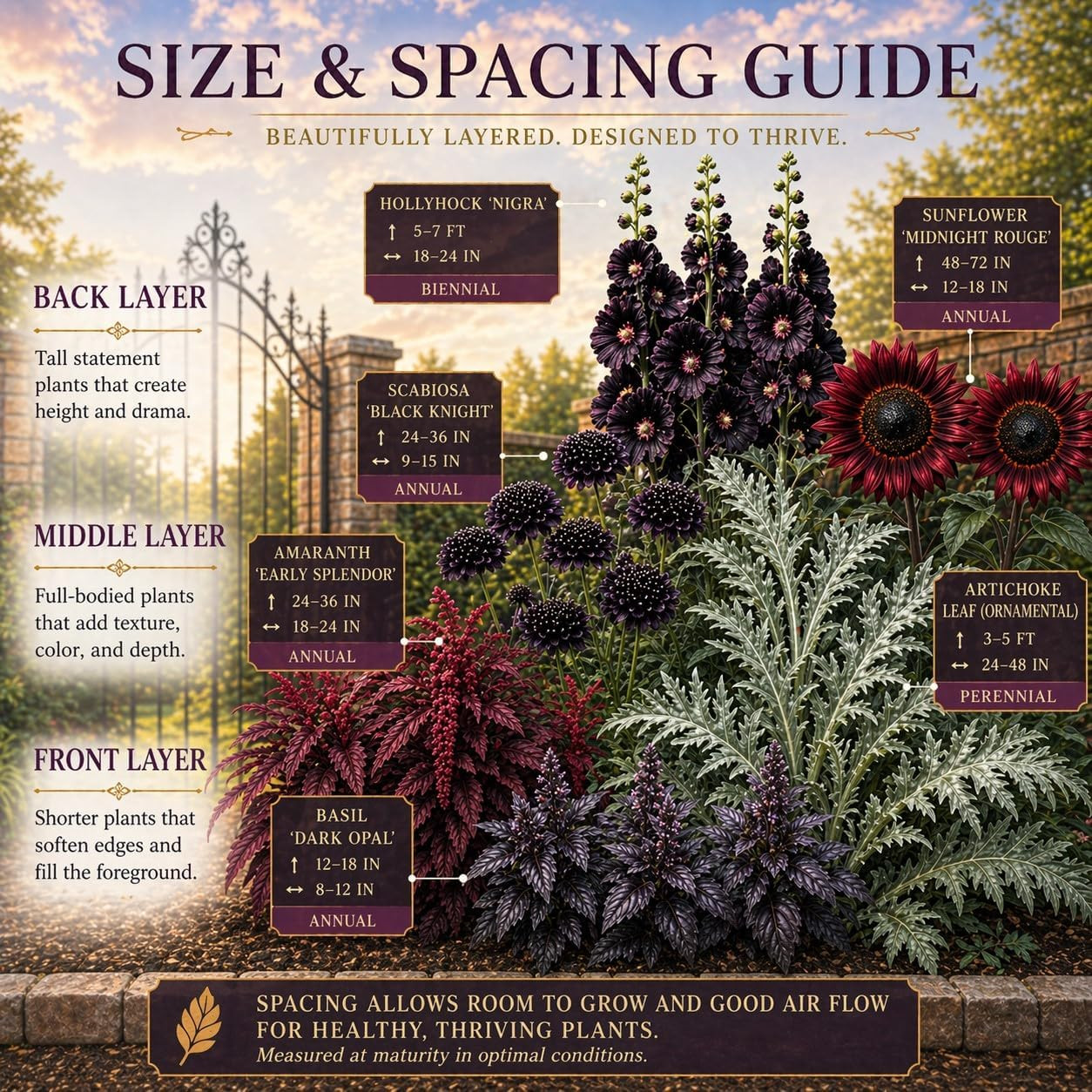 Ravens Hollow Garden Gothic Garden Seed Collection, 6 Open-Pollinated Flower & F