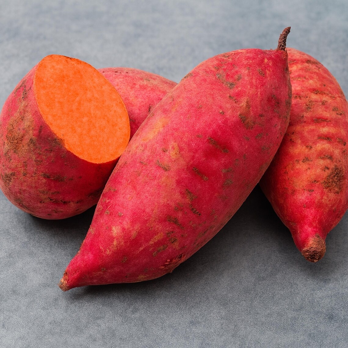 Potted Sweet Potato Plant – Red Garnet – Vining Type- Non GMO & Chemical Free