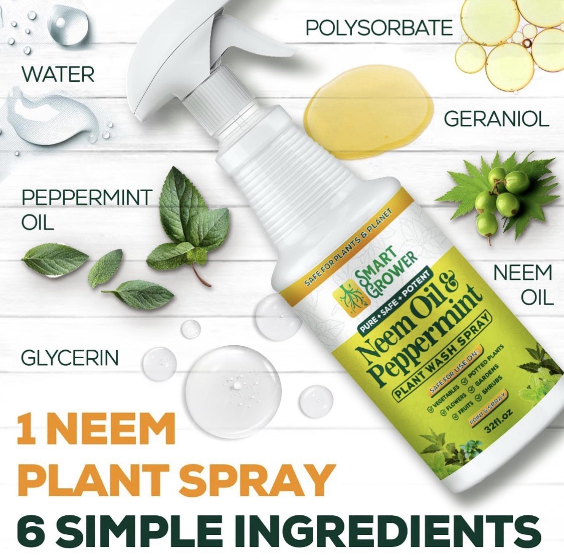 Neem Oil Spray for Plants with Peppermint Oil, Natural Plant Wash Made for In…