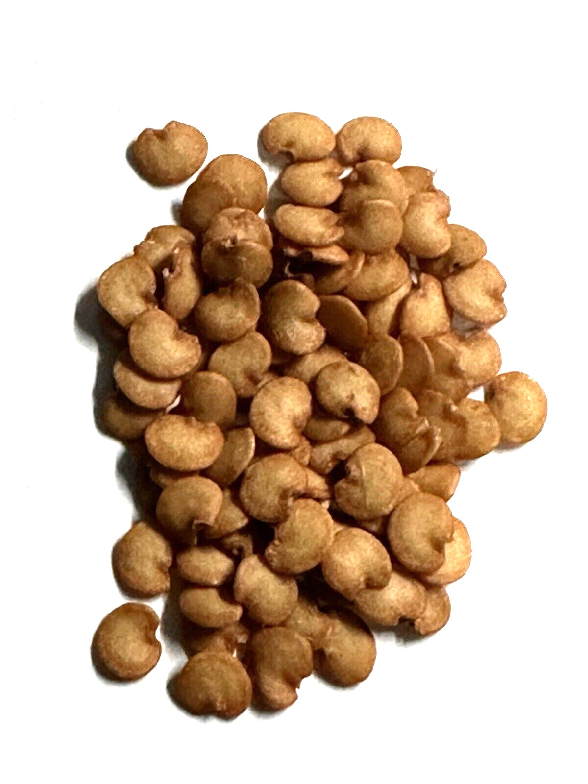 10 Indian Green Eggplant Fresh Organic Seeds~ Eggplant Seeds.