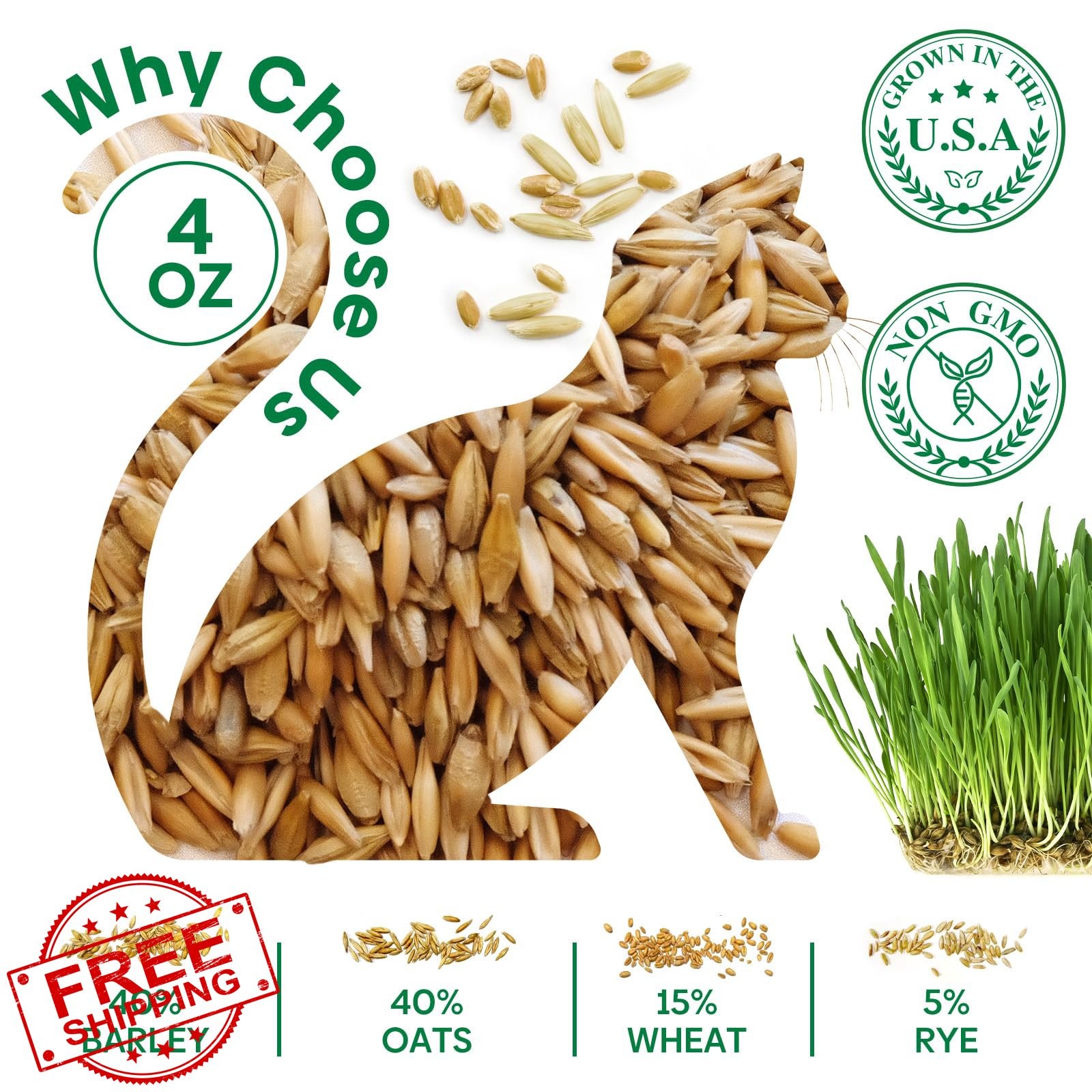 Groundio Cat Grass Seeds 4 OZ Barley Oats Wheat Rye
