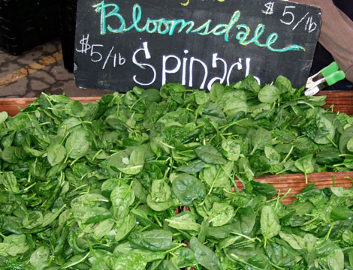Bloomsdale Long Standing Spinach! COMB. S/H! SEE MY STORE FOR RARE SEEDS!
