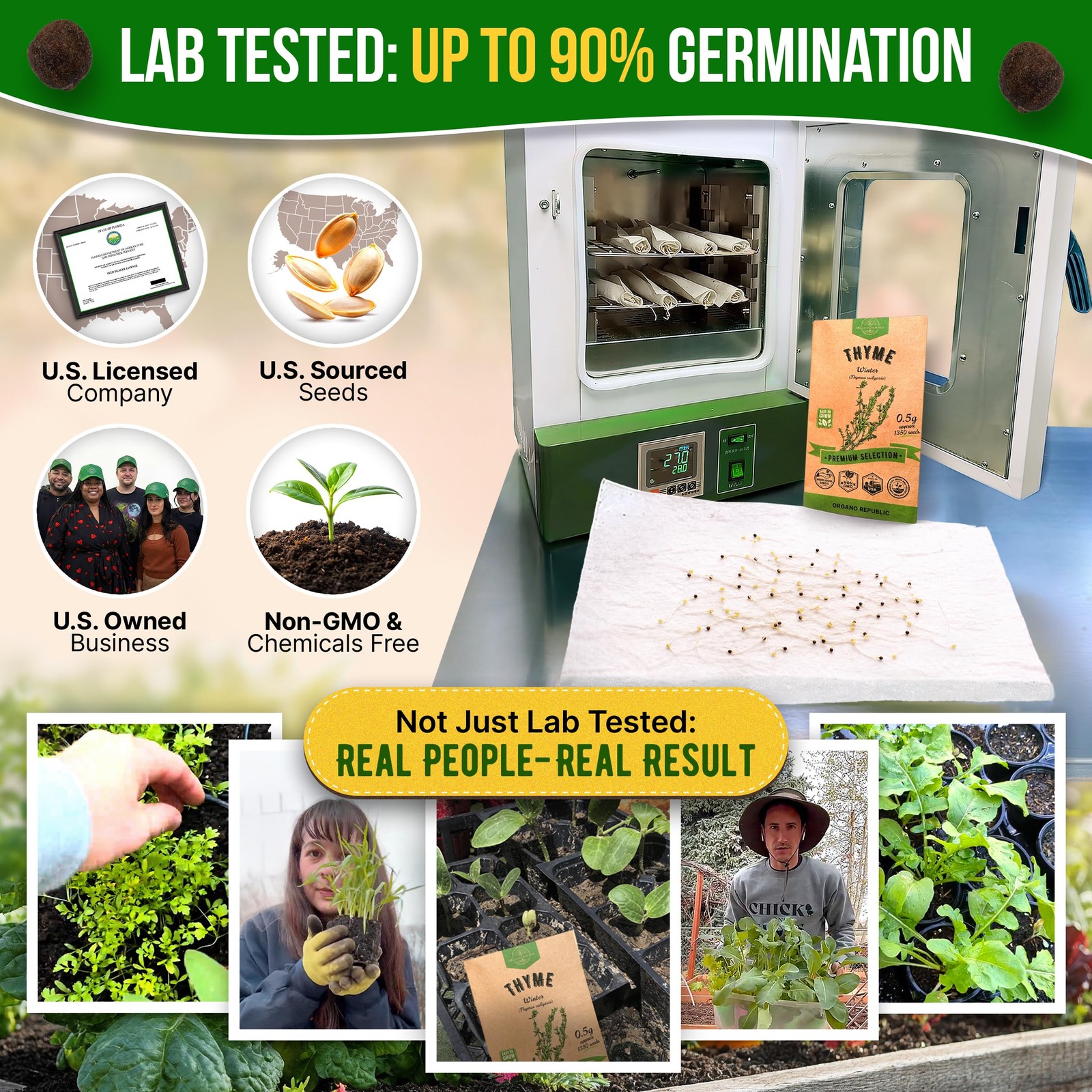 Thyme Seeds Pack 0.5 G – Over 1,350 Non-GMO Heirloom 0.5G, Green