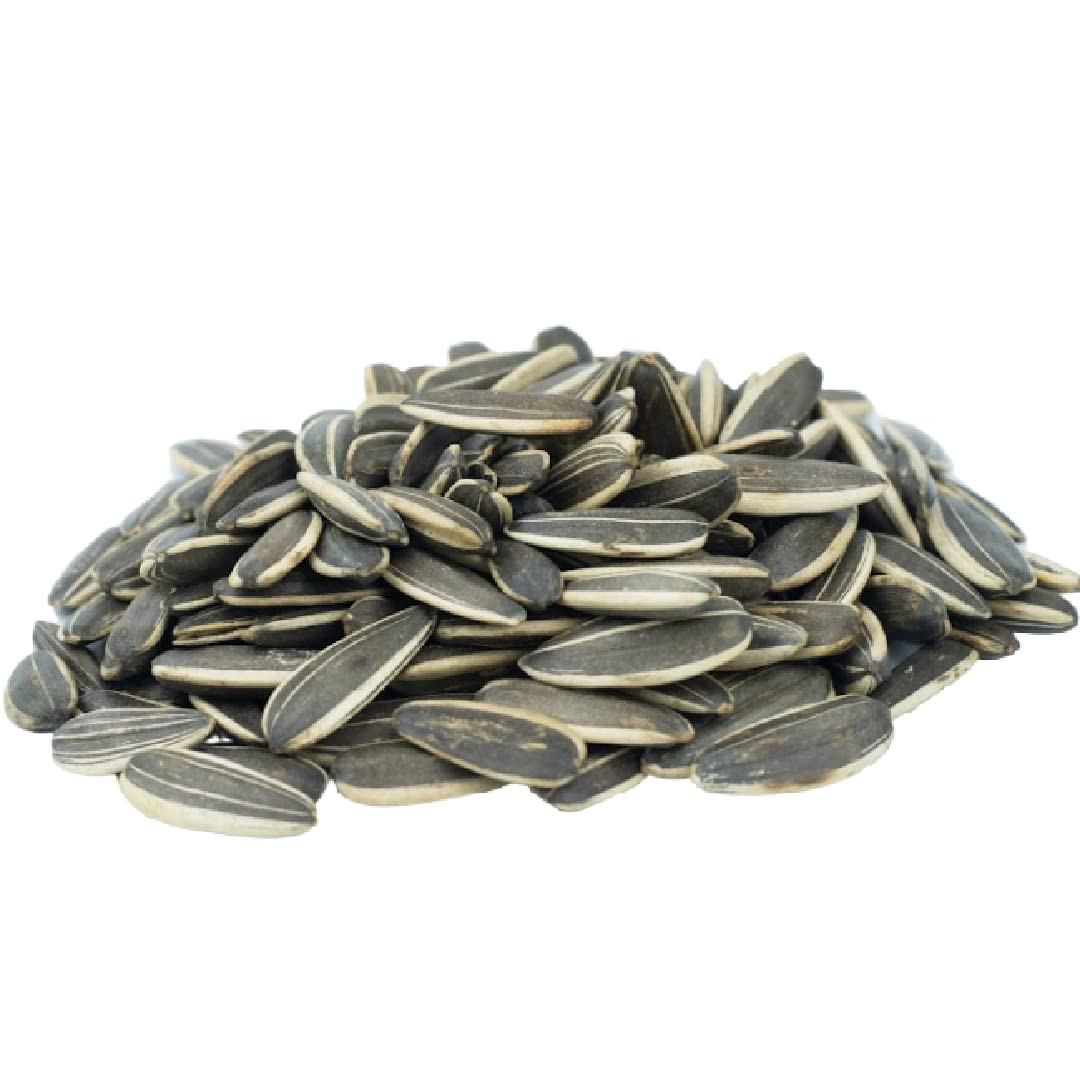 Jumbo Raw Whole Sunflower Seeds 2 Lbs. | No Artificial Additives, Shell-On, Rese