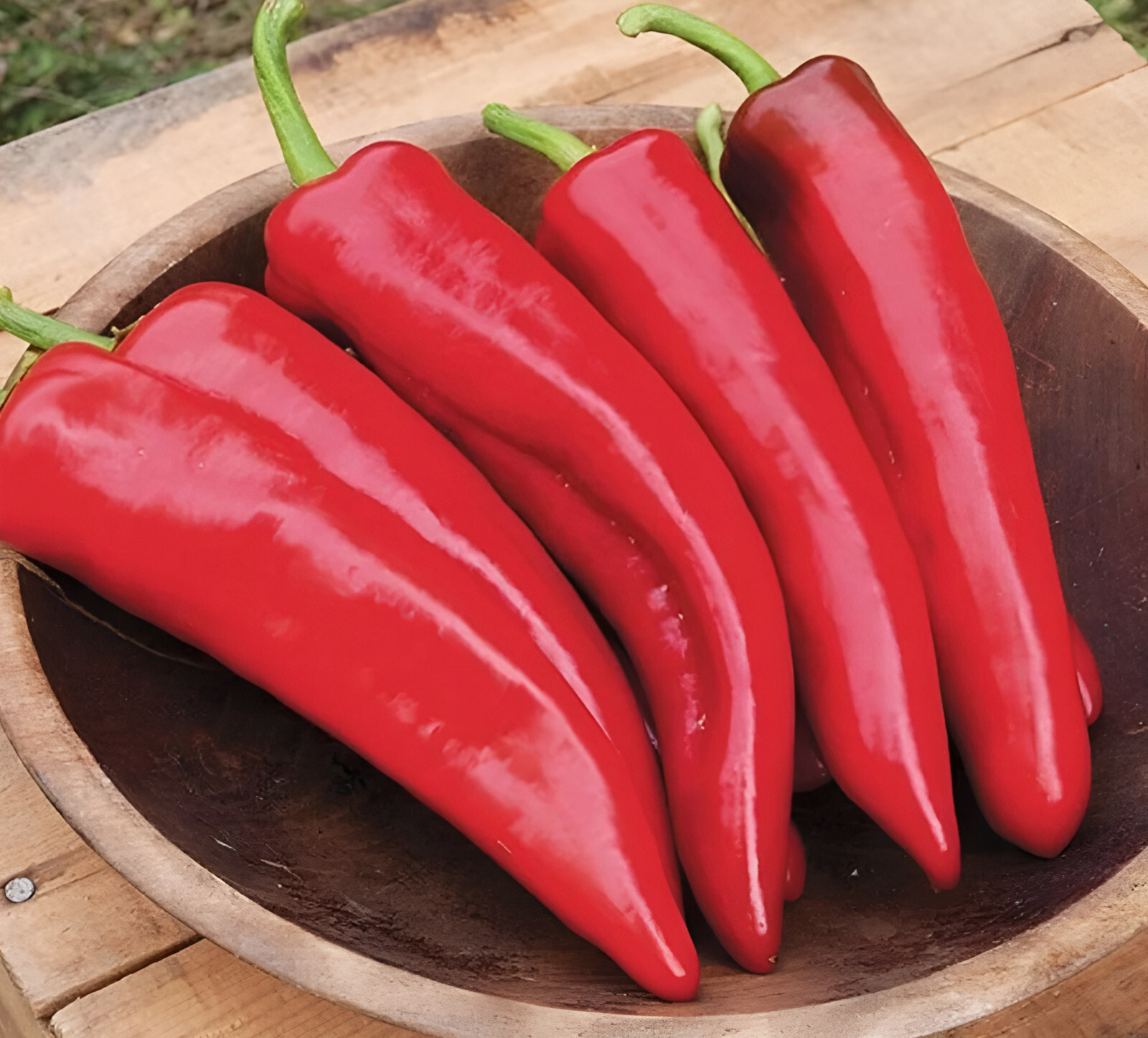75ct Guizeppi NuMex Hatch Chili Pepper Seeds! Medium Heat! Med Size Hatch @ 3″-4