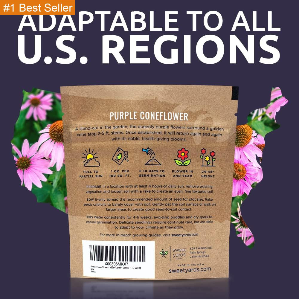 Purple Coneflower Seeds – Extra Large Packet – over 3,000 Open Pollinated Non-Gm