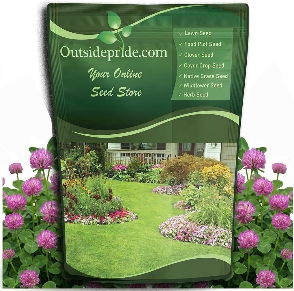 10 lbs Nitrocoated Red Clover Seeds – Self-Seeding for Soil Improvement & Forage