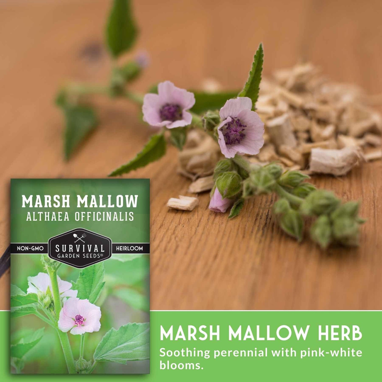 Marshmallow Seeds for Planting – Marsh Mallow Medicinal Herb, Althaea Pink