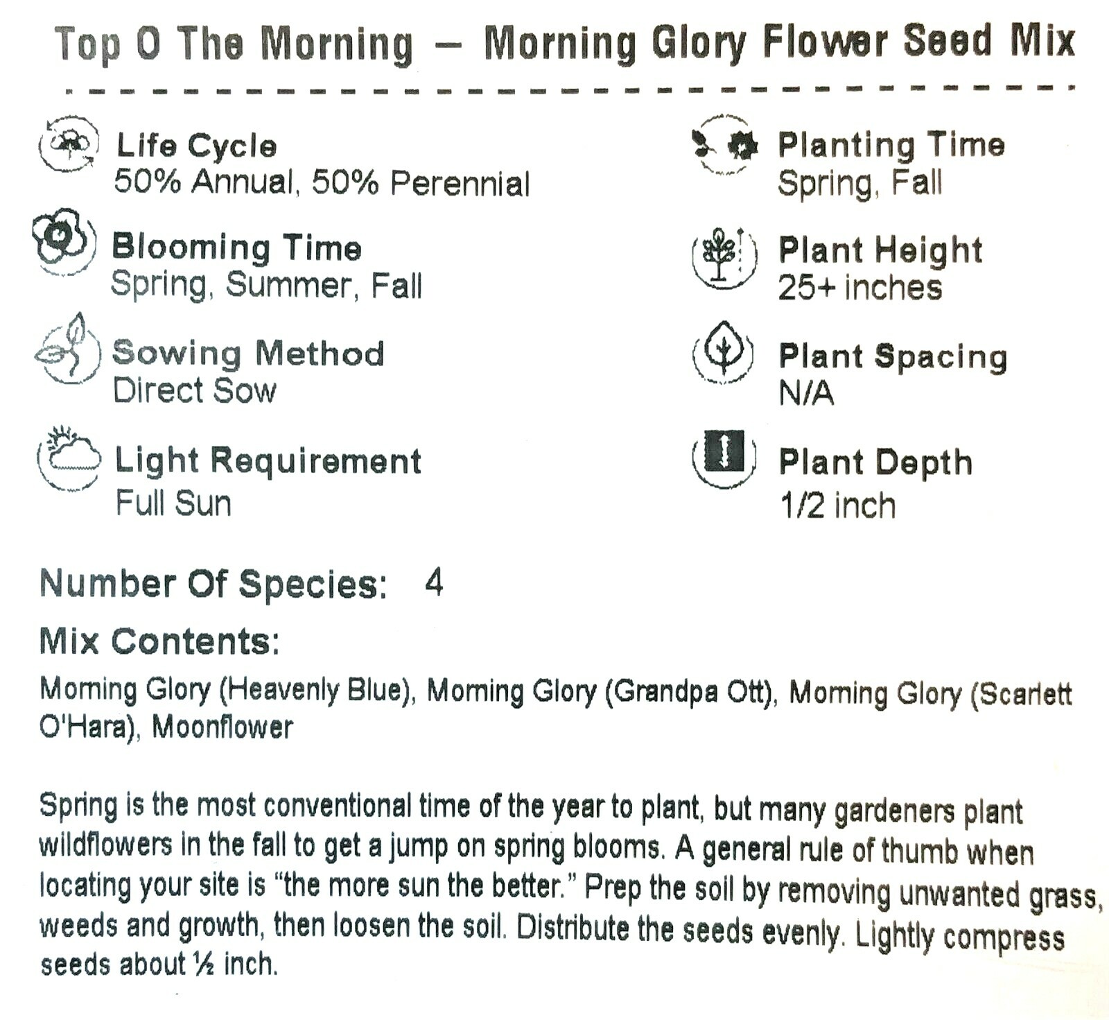 Morning Glory TOP O’ THE MORNING Mix Tall Vine Hummingbirds Non-GMO 100 Seeds