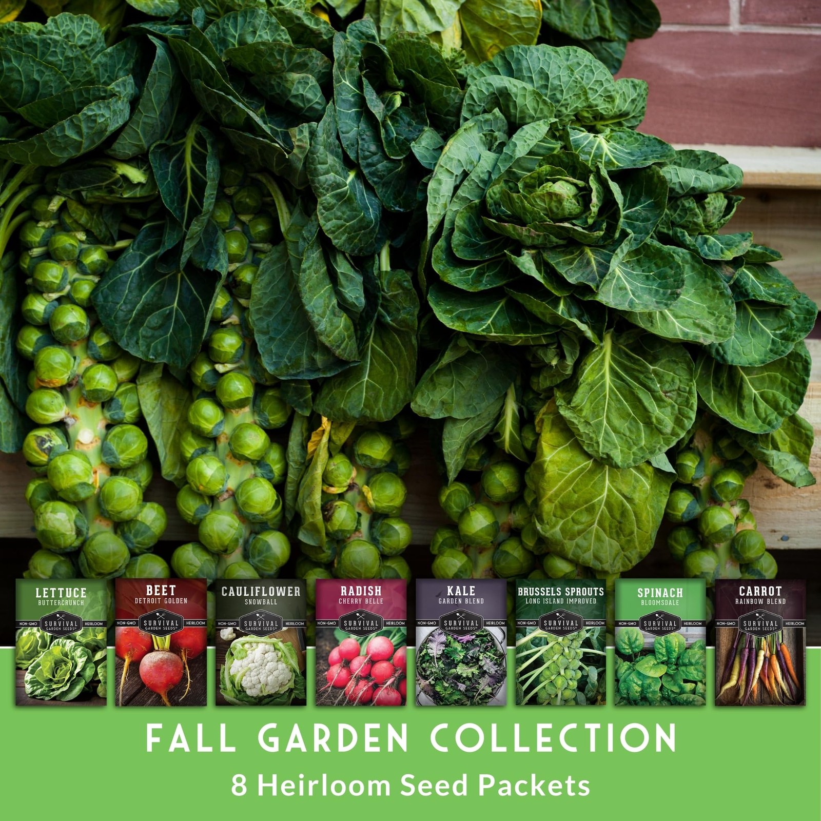 Fall & Winter Seeds 8 Packs Non-GMO Heirloom Vegetable Collection
