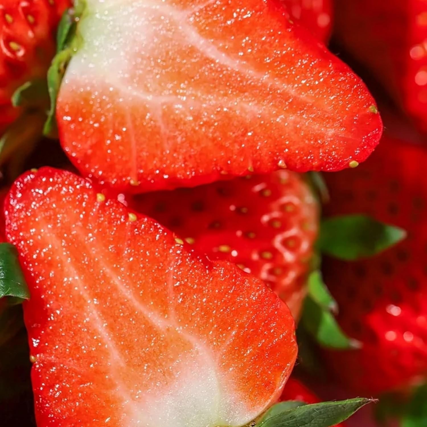 Hardy 200pcs Cream Strawberry Seeds – Fall & Spring Planting Perennial Herb