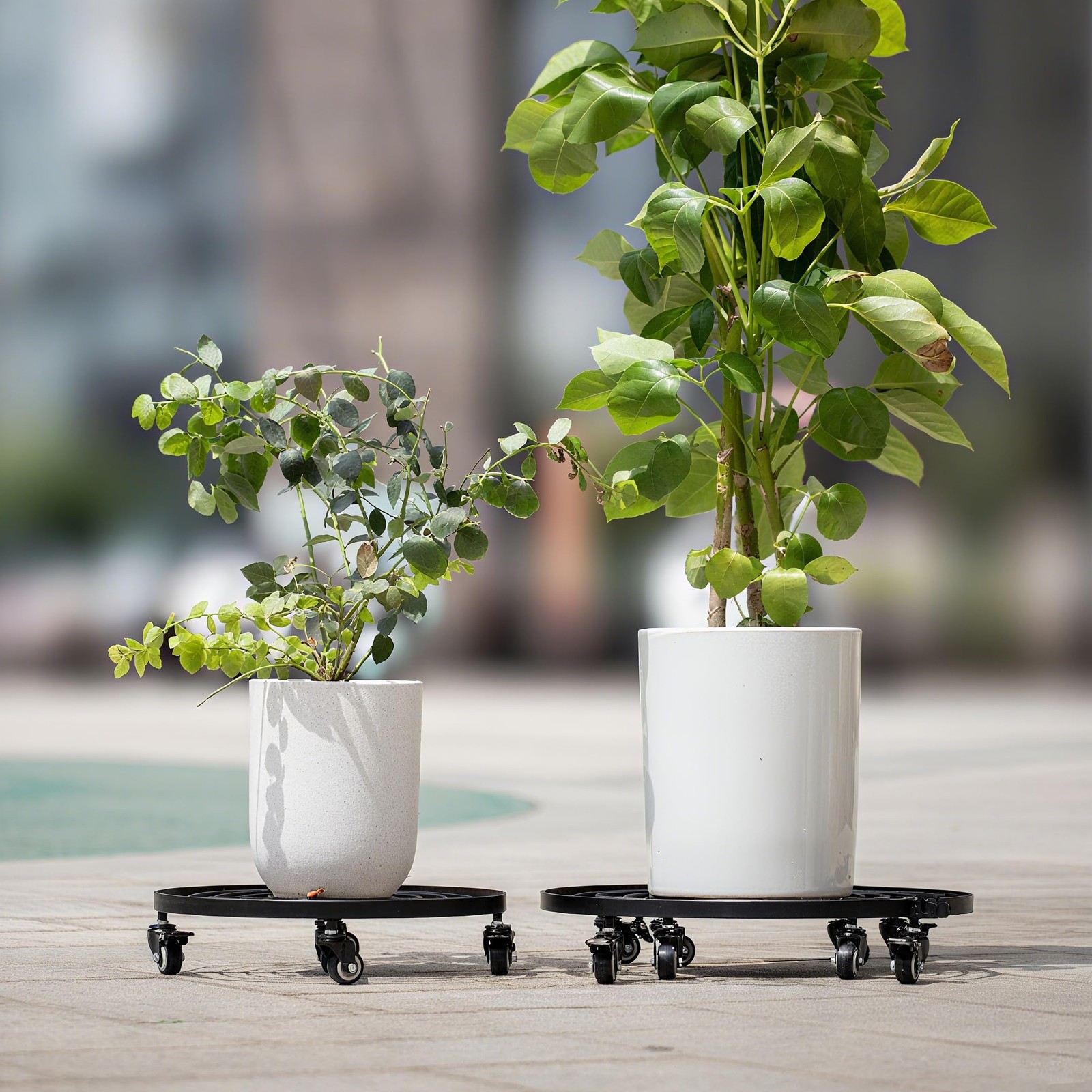Goooxim 16″ Heavy Duty Plant Dolly Rolling Planter Base 200lbs Indoor Outdoor