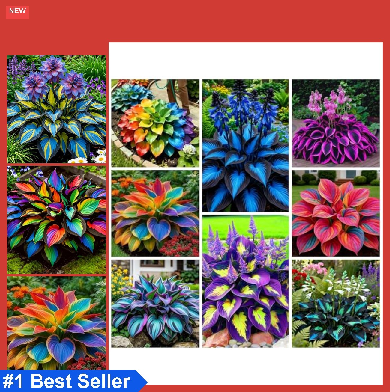 290+ Perennial Hostas for Planting, Low Maintenance Rich Foliage, Heart Hosta