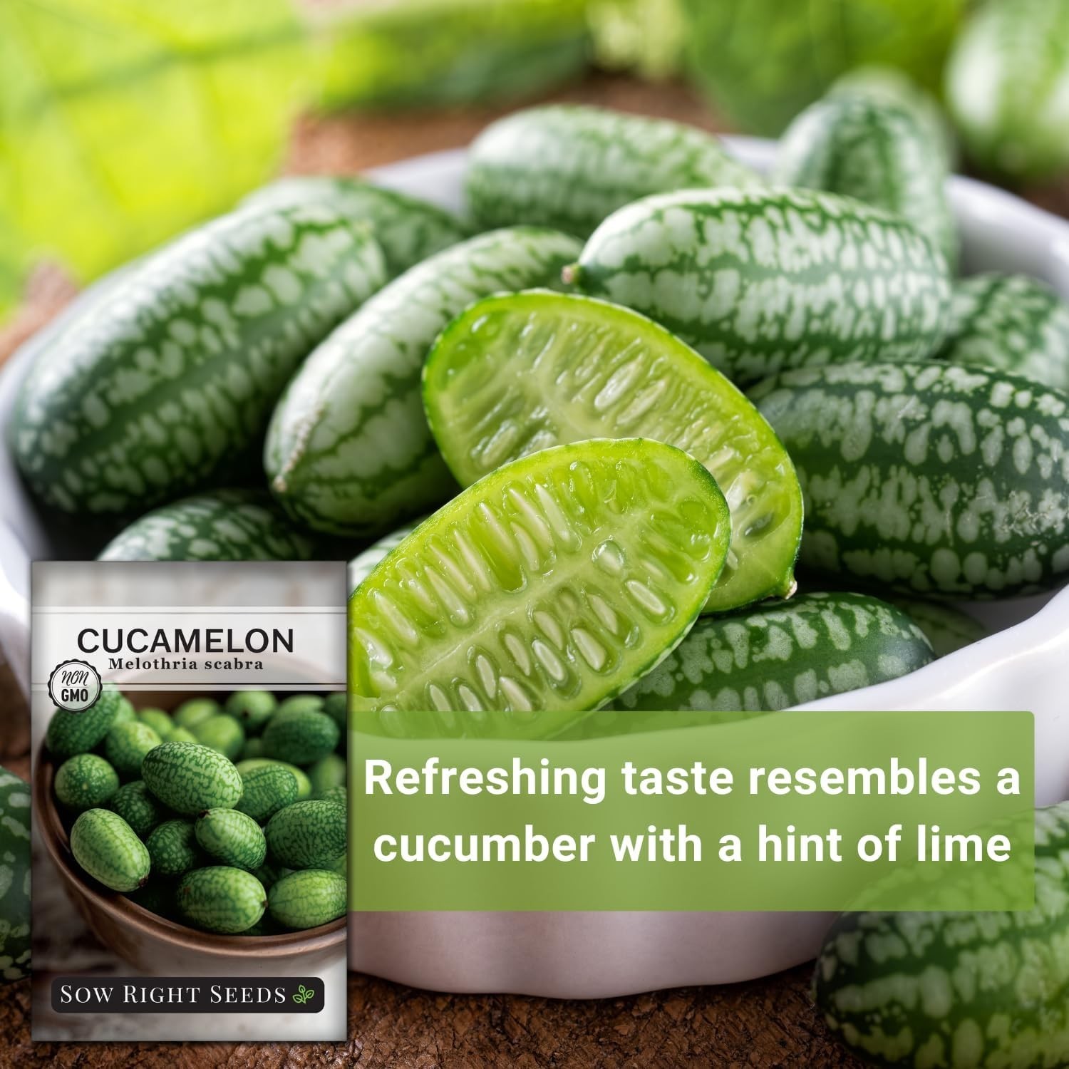 Cucamelon Seeds for Planting – Non-GMO Heirloom Packet with Instructions to P…