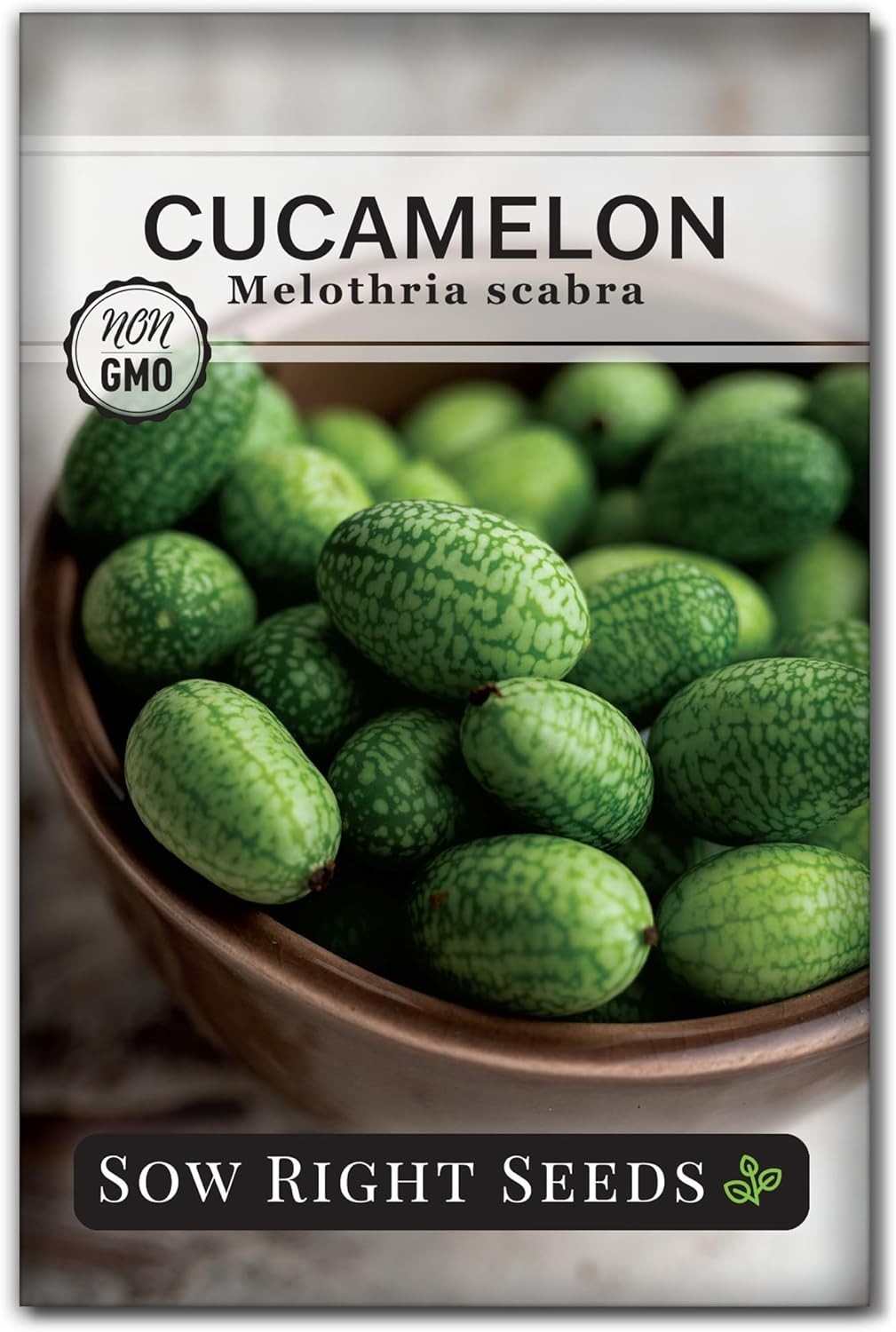 Cucamelon Seeds Non GMO Heirloom Mexican Sour Gherkin Garden Pack