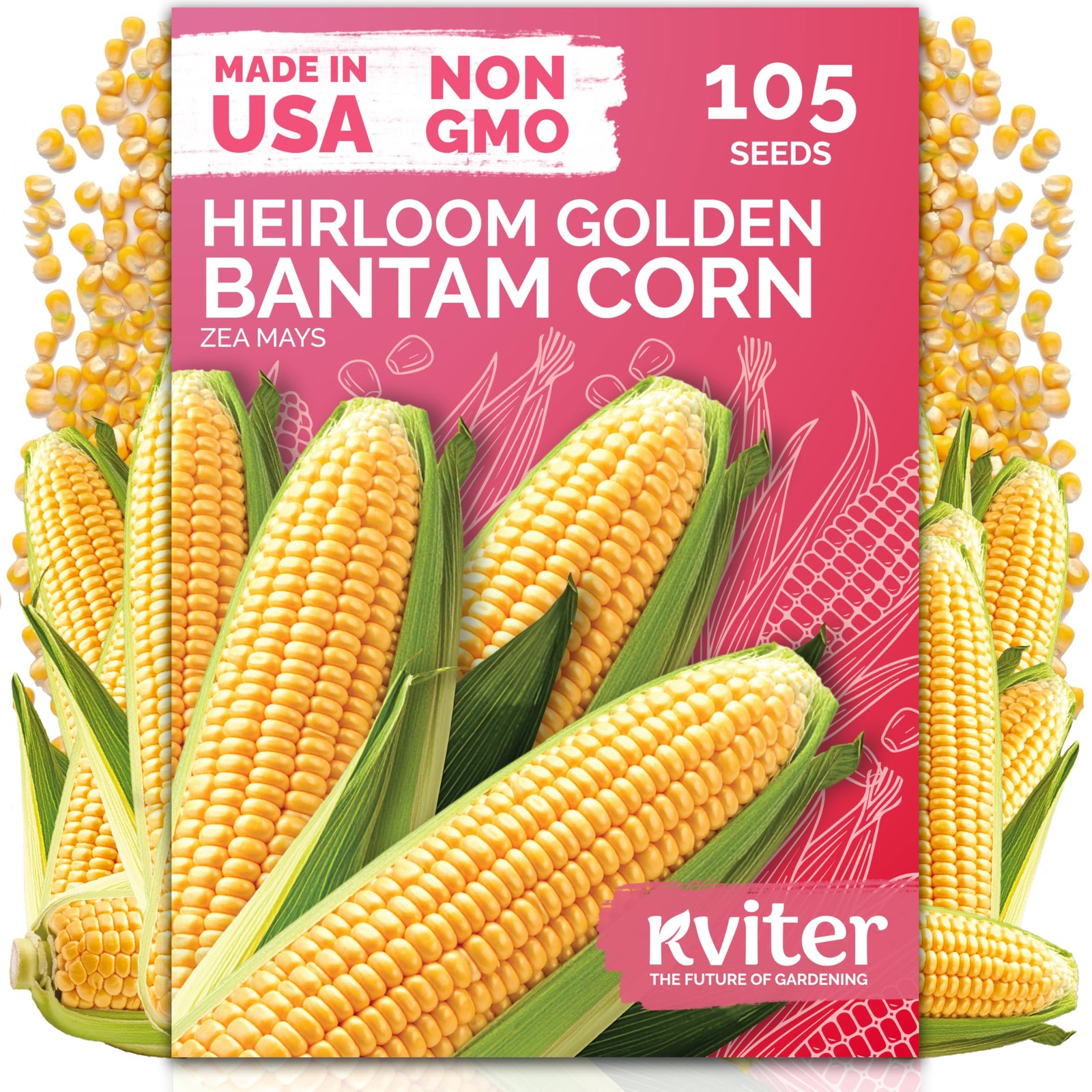KVITER 105 Golden Bantam Sweet Corn Seeds (Zea Mays)