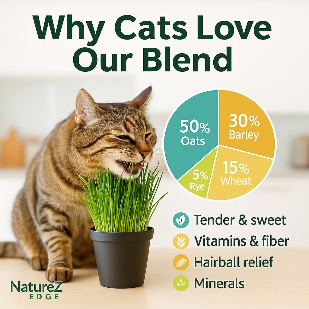 Premium Cat Grass Seeds NonGMO Indoor Plant for Cats 1 lb Oat, Wheat, Rye