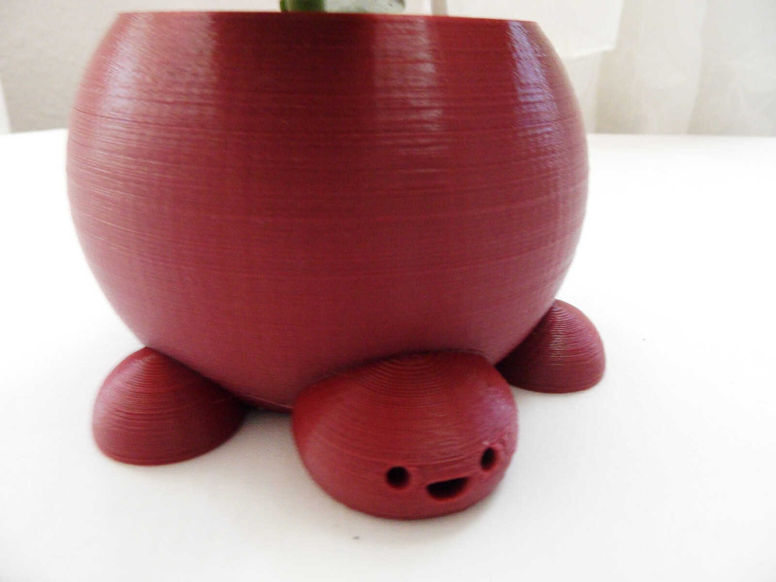 Crassula Ovata Jade money Friendship Plant planted in 3D printed Turtle planter