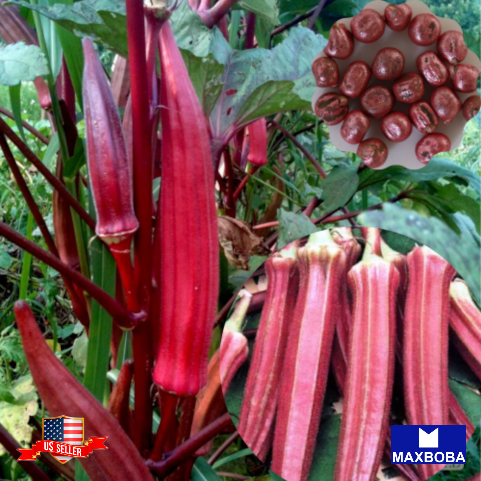 Okra Seeds Red Burgundy Non-GMO Heirloom